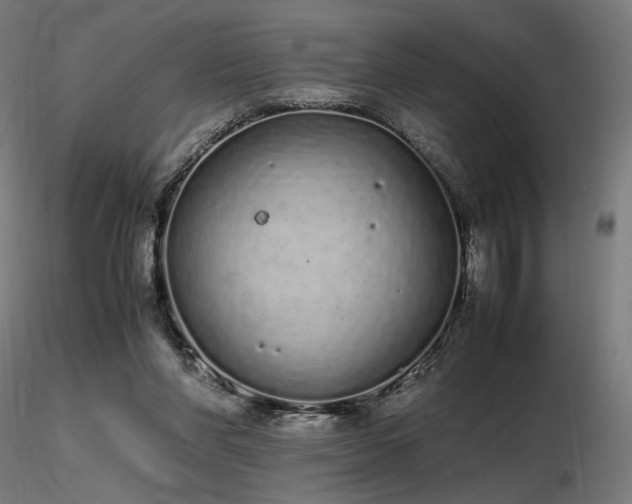 X0000116840206200912181505