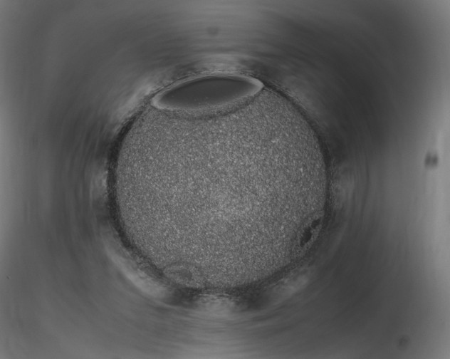 X0000116840207200912181505