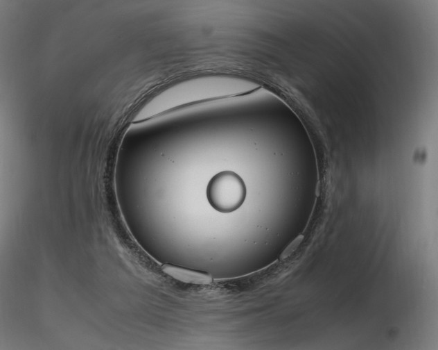 X0000116840209200912181505