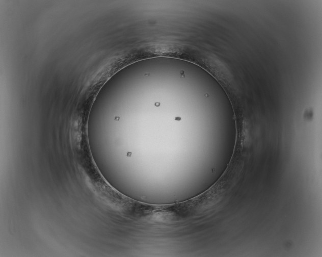 X0000116840210200912181505