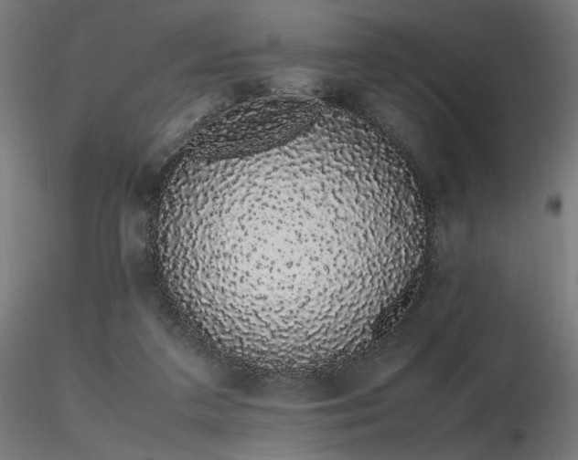X0000116840211200912181505