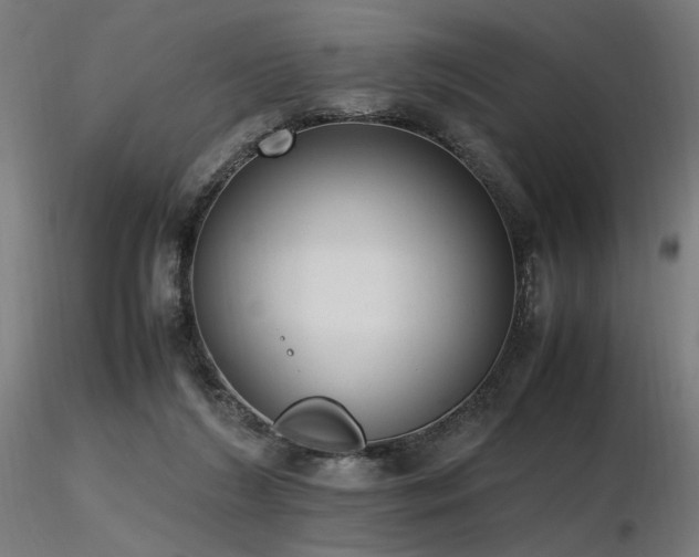 X0000116840212200912181505