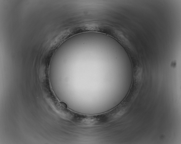 X0000116840213200912181505