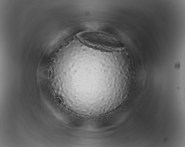 X0000116840215200912181505