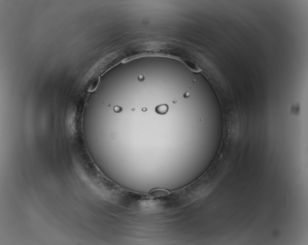 X0000116840216200912181505