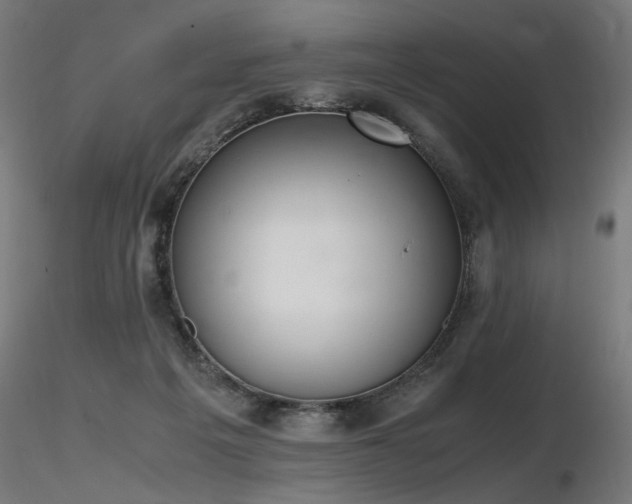 X0000116840217200912181505