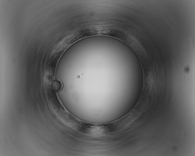 X0000116840218200912181505