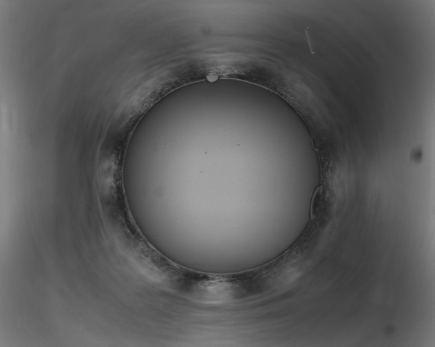 X0000116840219200912181505