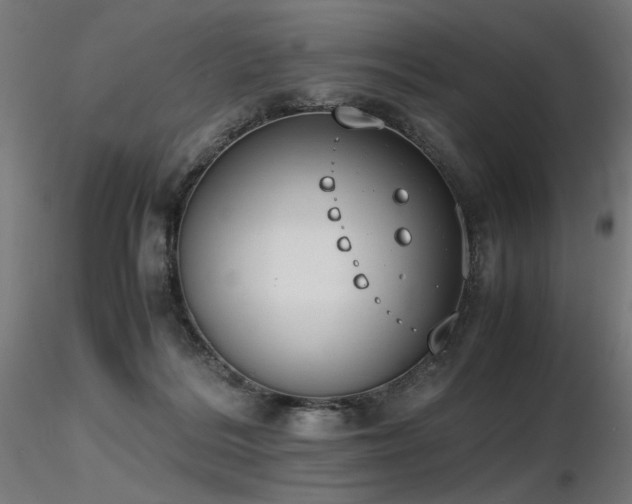 X0000116840220200912181505