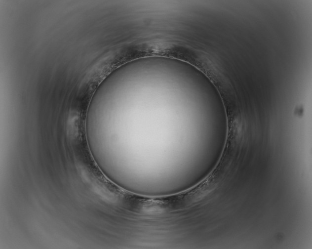 X0000116840222200912181505