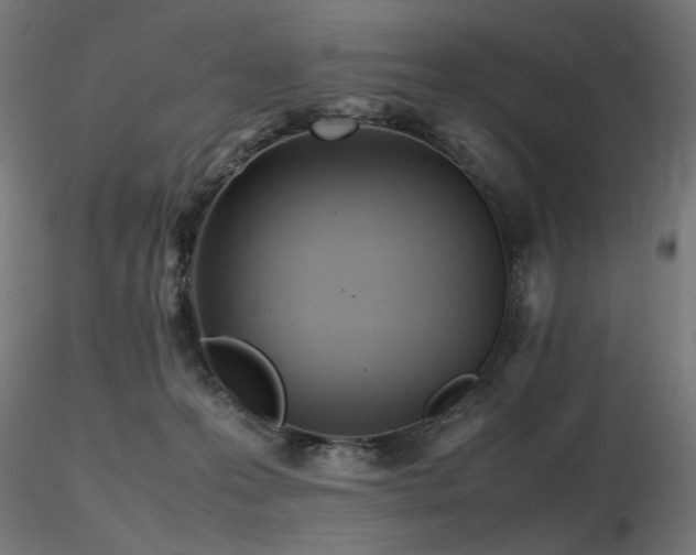 X0000116840223200912181505