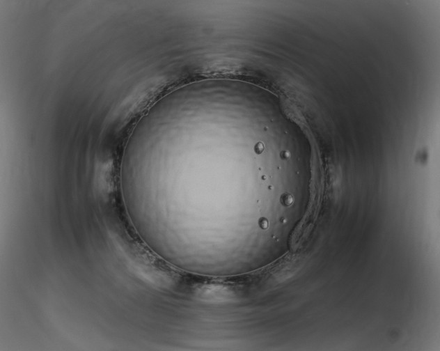 X0000116840224200912181505