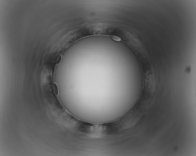 X0000116840225200912181505