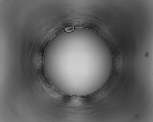 X0000116840226200912181505