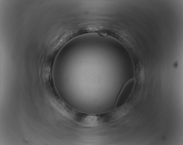 X0000116840227200912181505