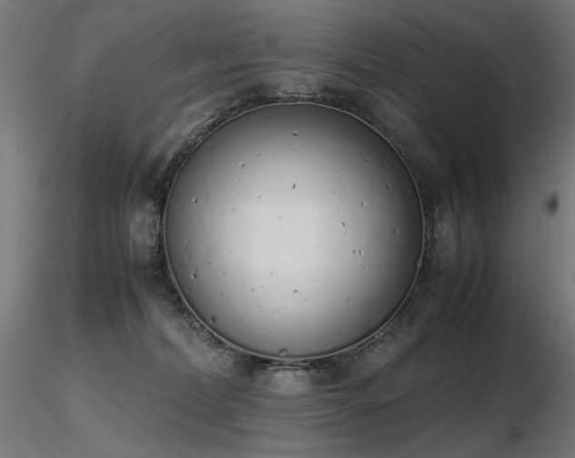 X0000116840228200912181505