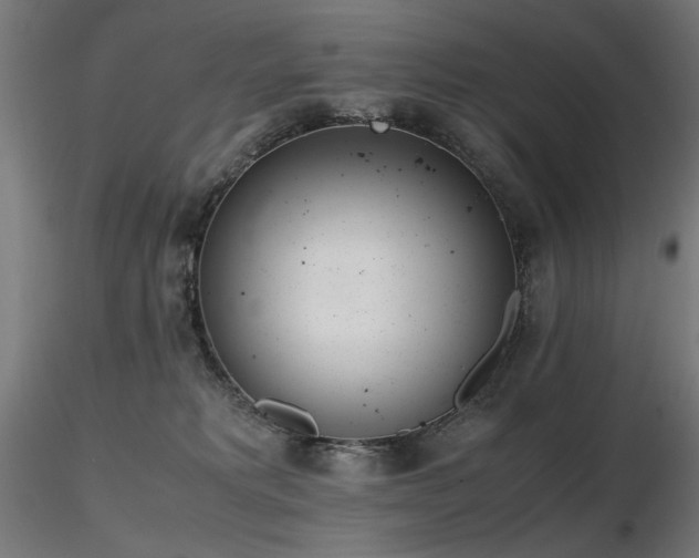 X0000116840229200912181505