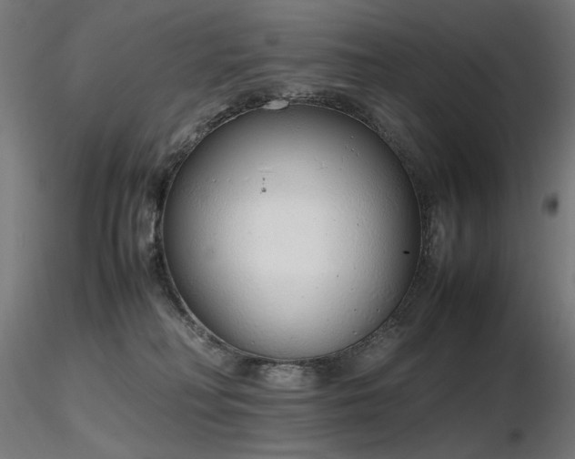 X0000116840230200912181505