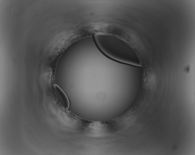 X0000116840231200912181505