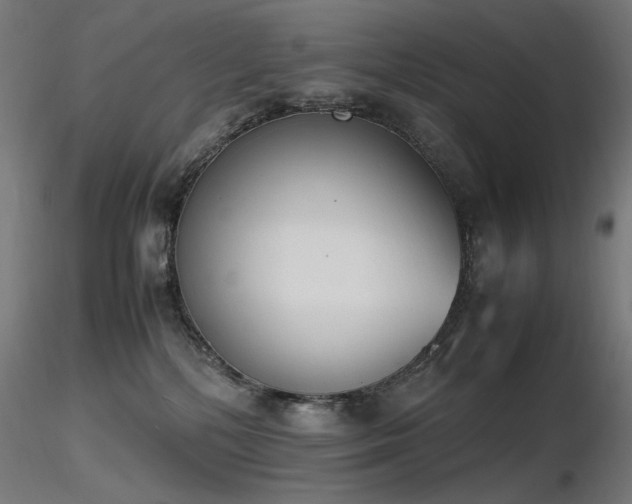 X0000116840232200912181505