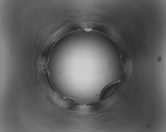 X0000116840233200912181505