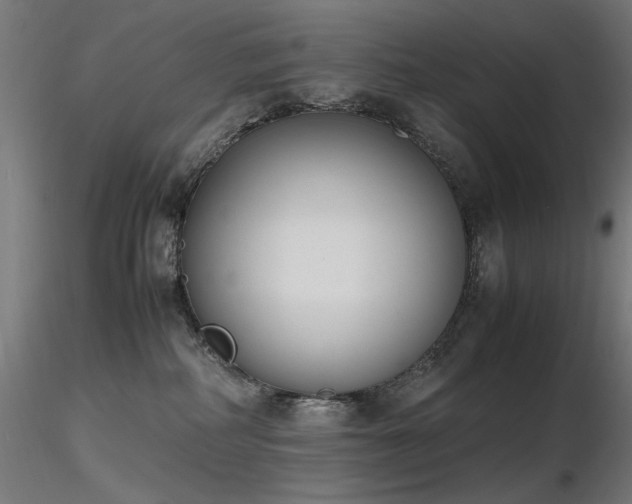 X0000116840234200912181505