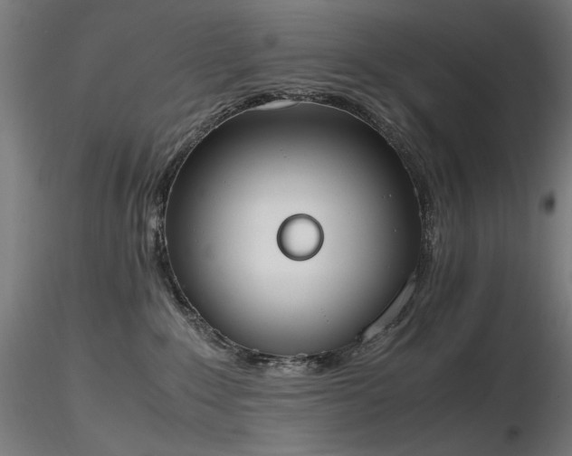 X0000116840235200912181505