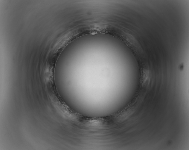 X0000116840236200912181505