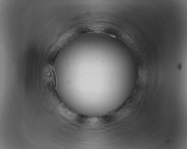 X0000116840237200912181505