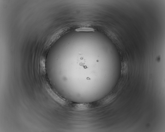 X0000116840238200912181505
