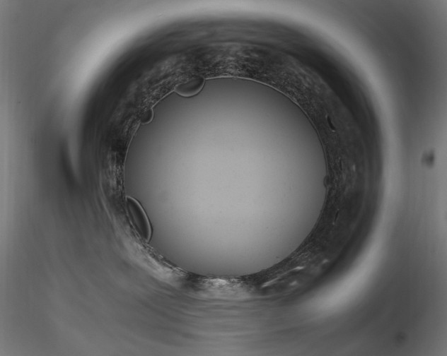 X0000116840239200912181505