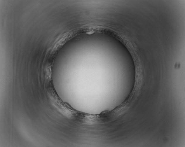 X0000116840240200912181505