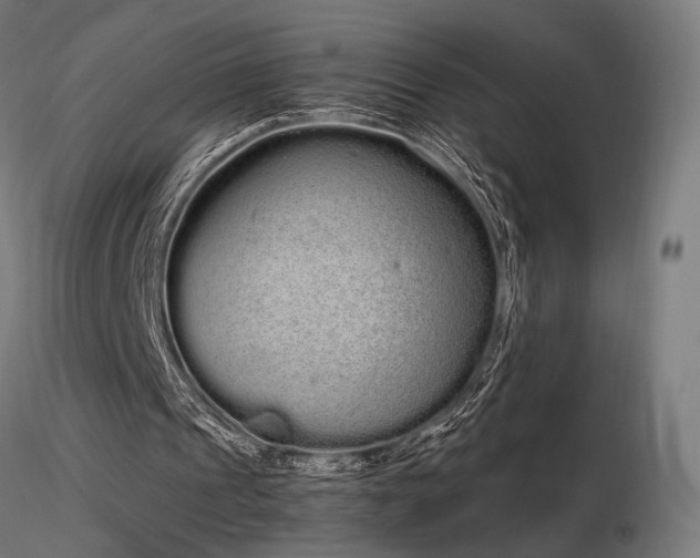 X0000116840241200912181504