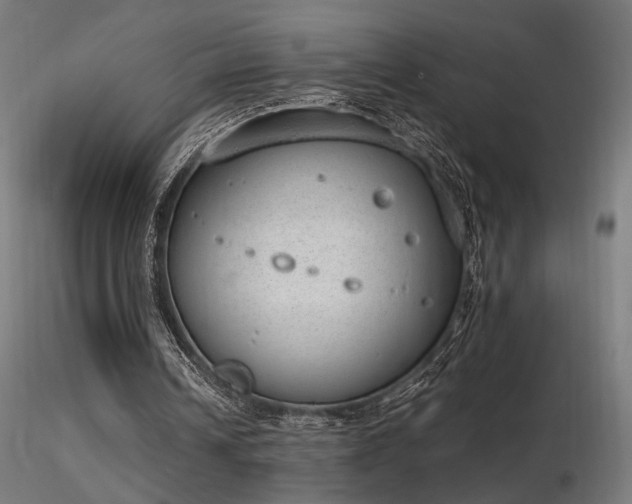 X0000116840242200912181504
