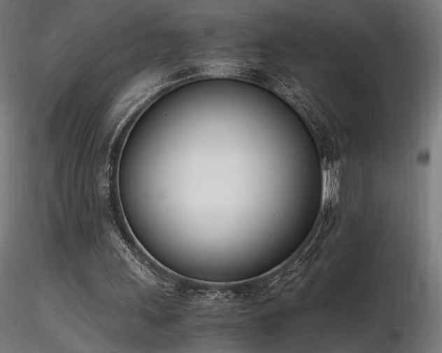 X0000116840243200912181504