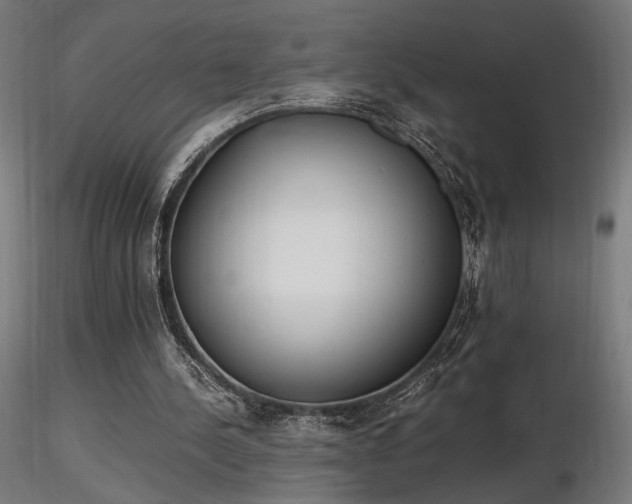 X0000116840244200912181504