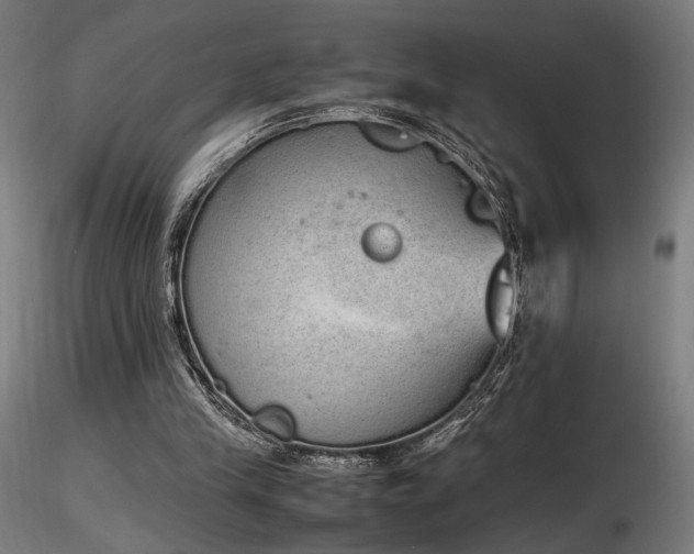X0000116840245200912181504