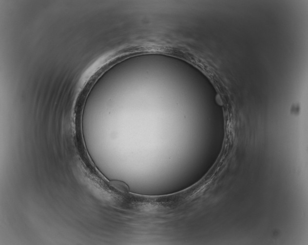 X0000116840246200912181504