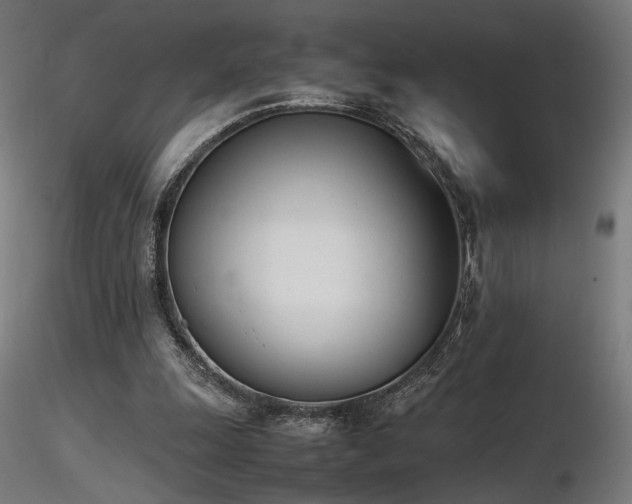 X0000116840247200912181504