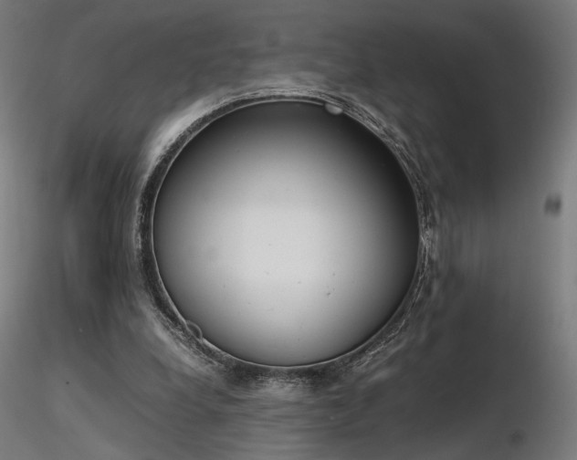 X0000116840248200912181504