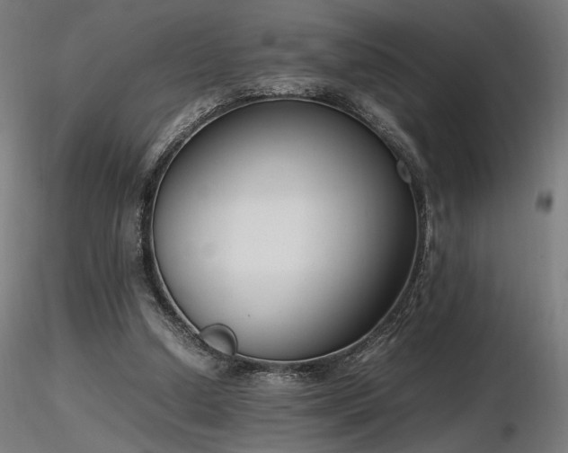 X0000116840250200912181504