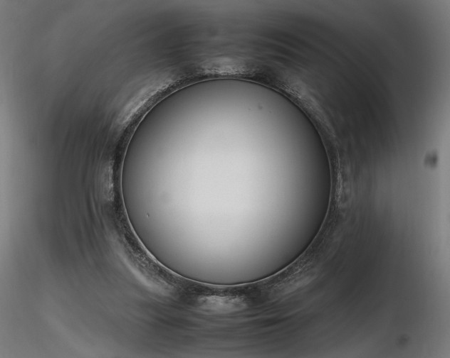 X0000116840251200912181504