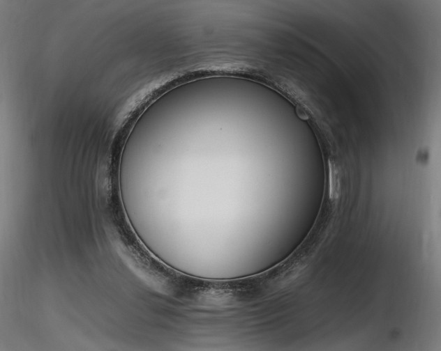X0000116840252200912181504