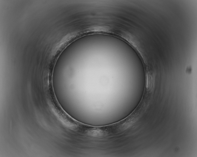 X0000116840253200912181504