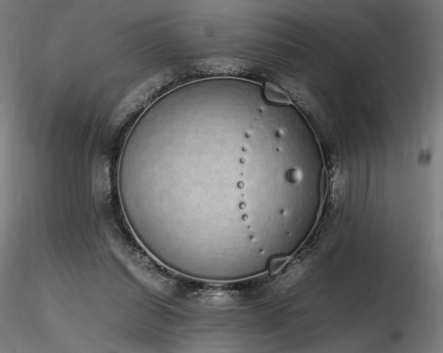 X0000116840254200912181504
