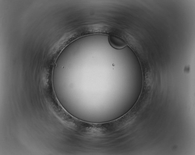 X0000116840255200912181504