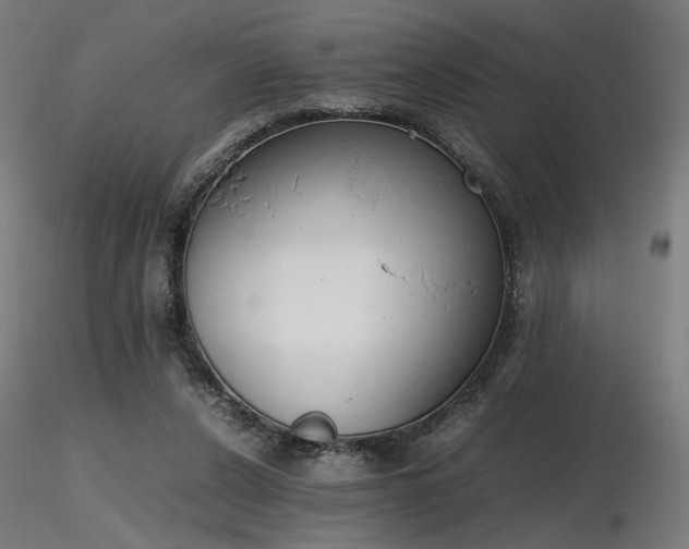 X0000116840256200912181504