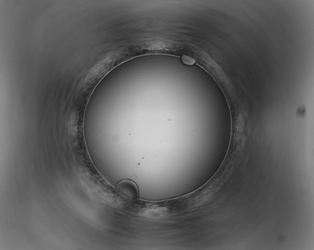 X0000116840257200912181504