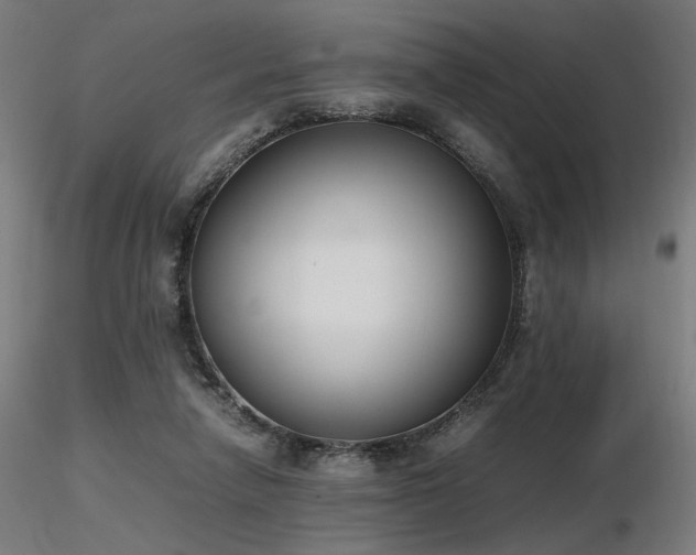 X0000116840258200912181504