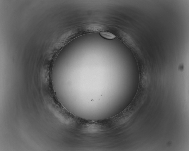 X0000116840259200912181504